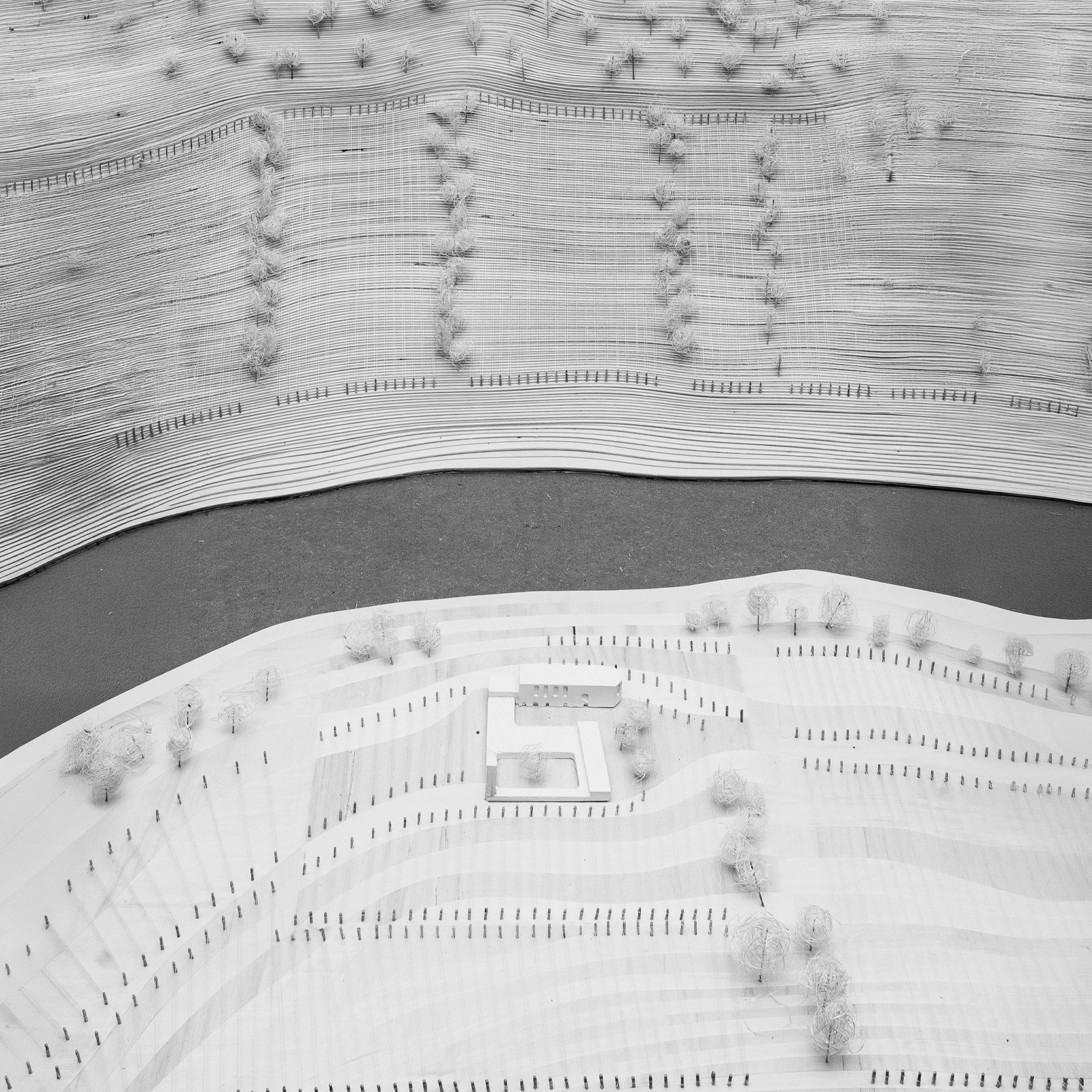 Visualization 4